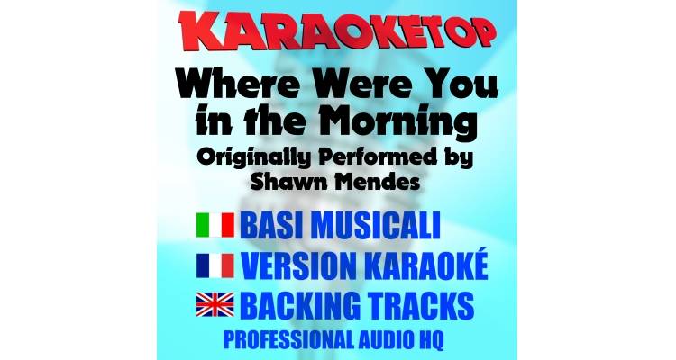 Where Were You in the Morning - Shawn Mendez (karaoke, backing track)