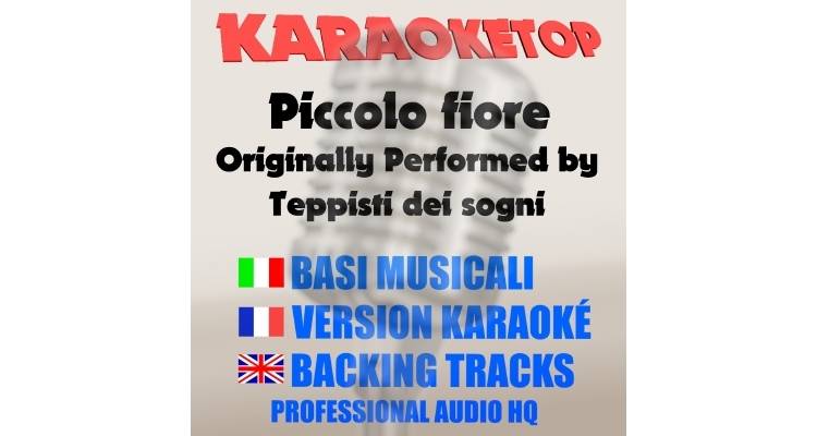 Piccolo fiore - Teppisti dei sogni (karaoke, backing track)