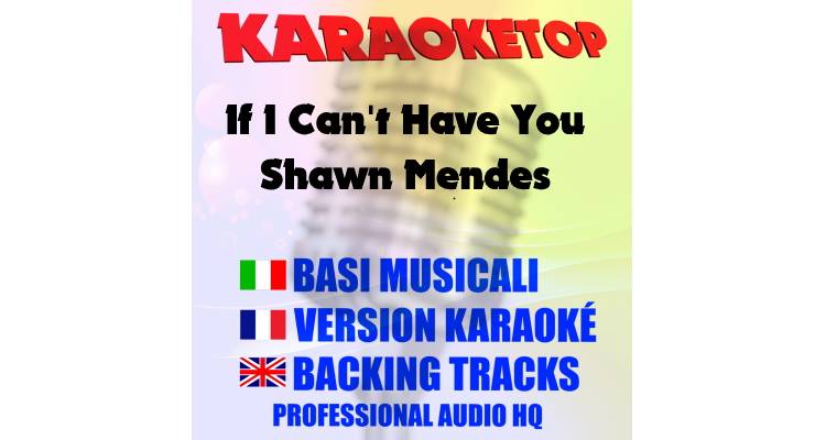 If I Can't Have You - Shawn Mendes (karaoke, base musicale)