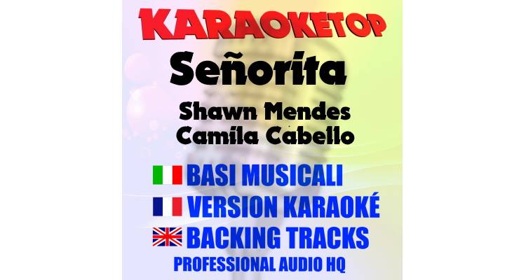 Señorita - Shawn Mendes & Camila Cabello (karaoke, backing track)