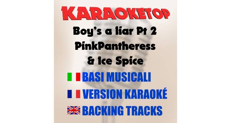 Boy’s a liar Pt 2 - PinkPantheress and Ice Spice (karaoke, base musicale) 